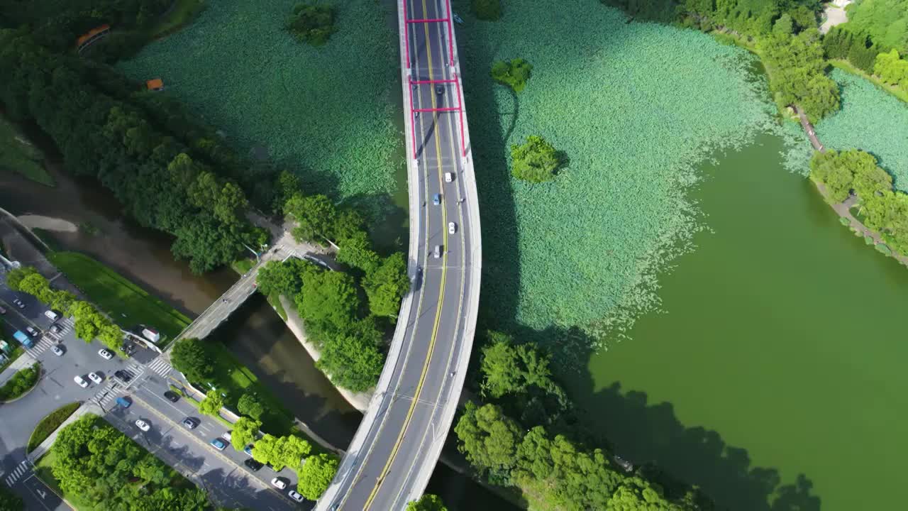 航拍深圳道路桥梁芙蓉桥航拍视频素材