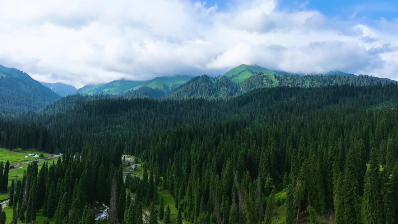 库尔德宁风景，新疆伊犁巩留视频素材