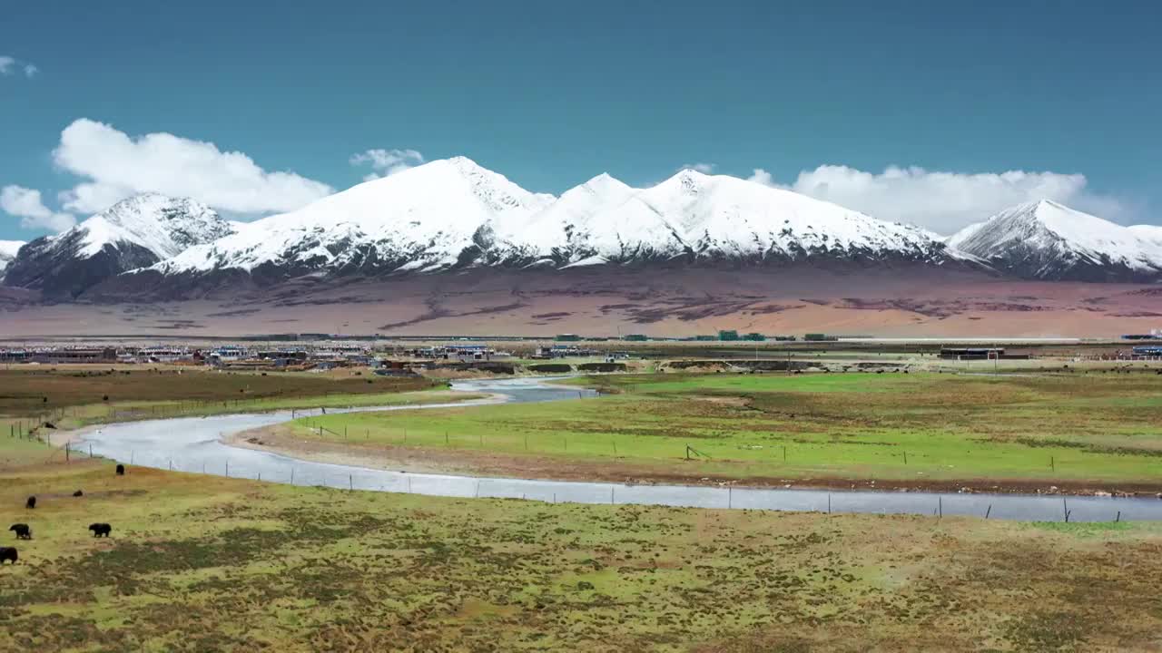 蓝天白云 草地河流和牛羊视频购买