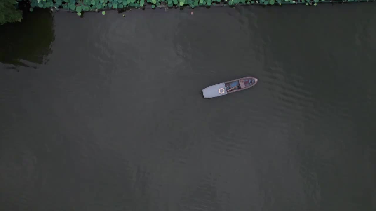 杭州夏日西湖荷花 航拍视频素材