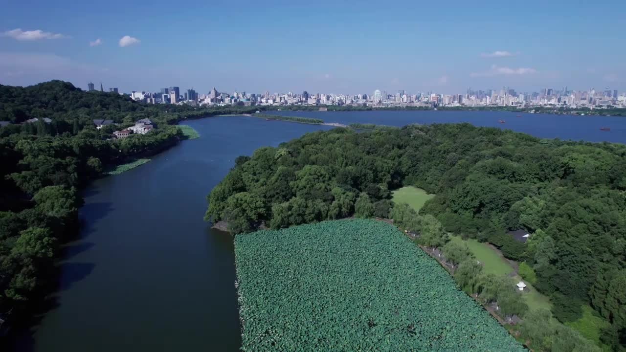 杭州夏日西湖荷花 航拍视频素材