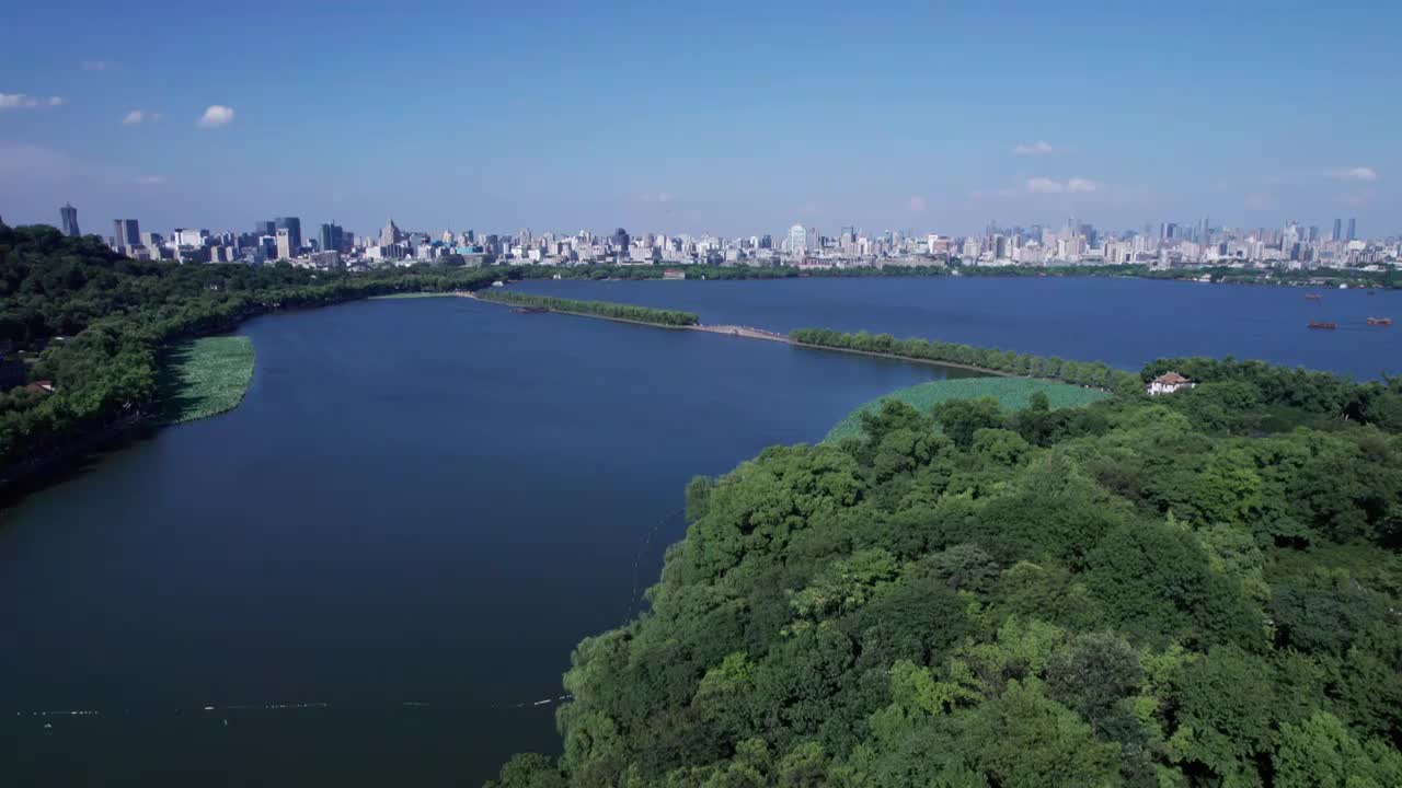 杭州夏日西湖荷花 航拍视频素材