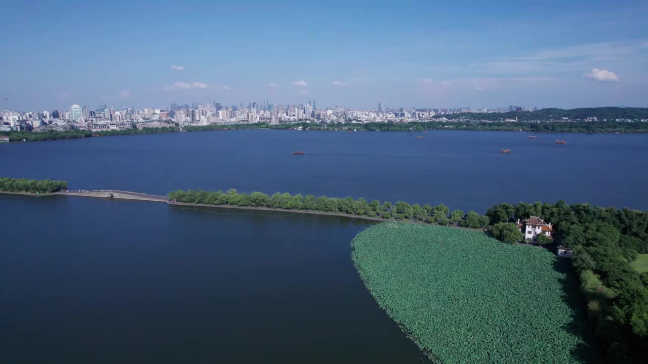 杭州夏日西湖荷花 航拍视频素材