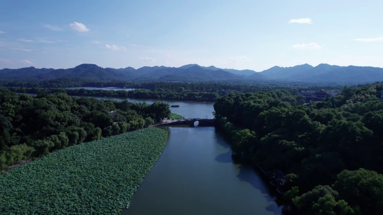 杭州夏日西湖荷花 航拍视频素材