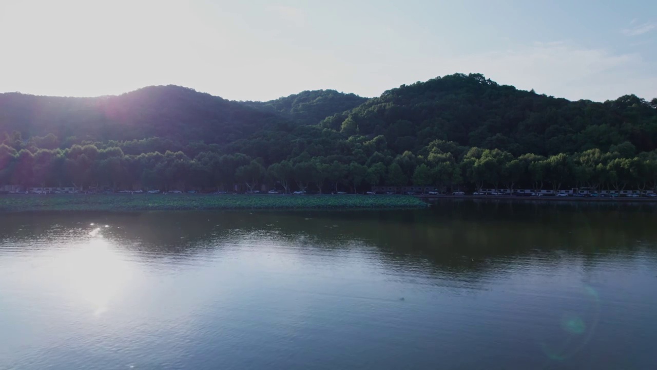 杭州夏日西湖荷花 航拍视频素材