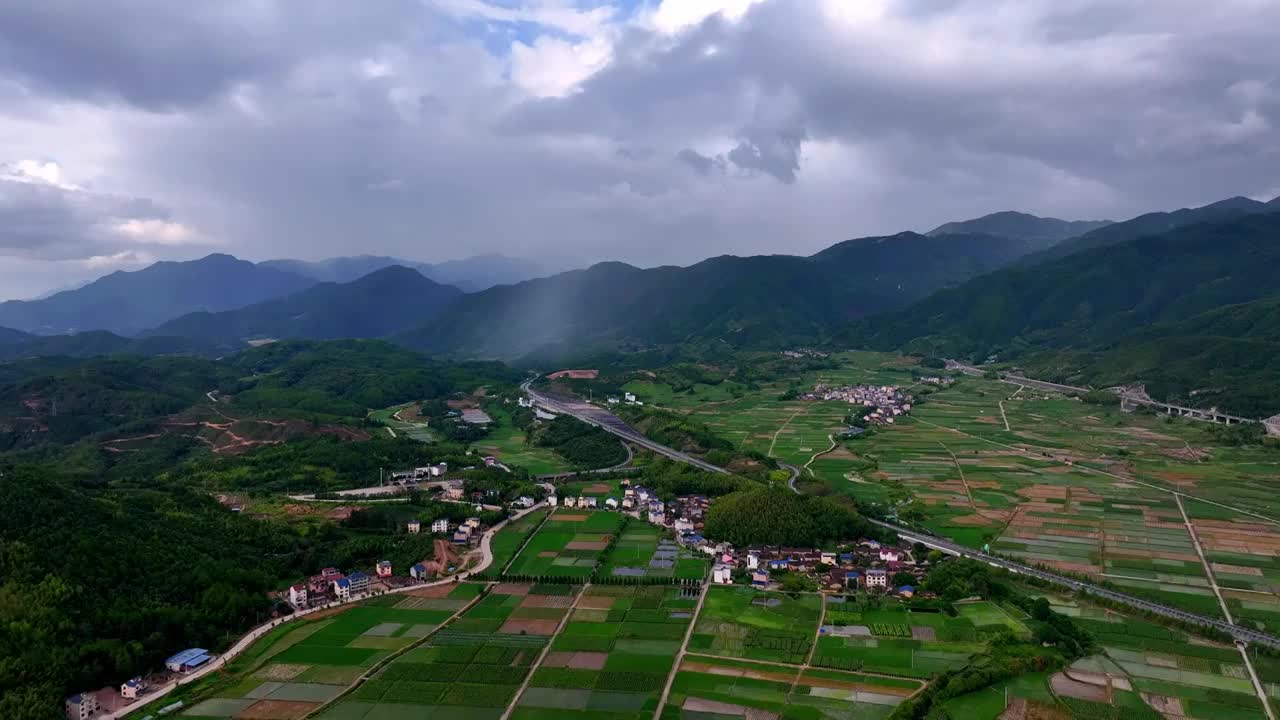 航拍乡村绿色稻田视频素材