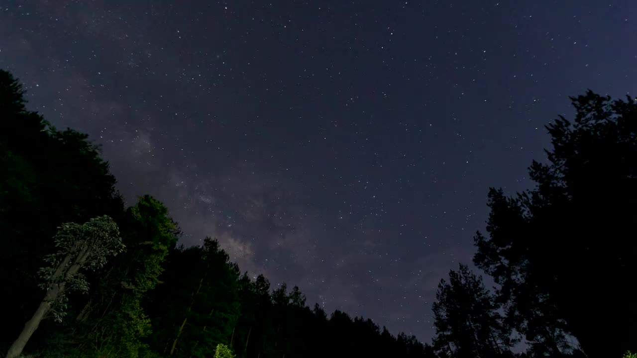 贵州安顺九龙山森林里的银河夜空视频素材