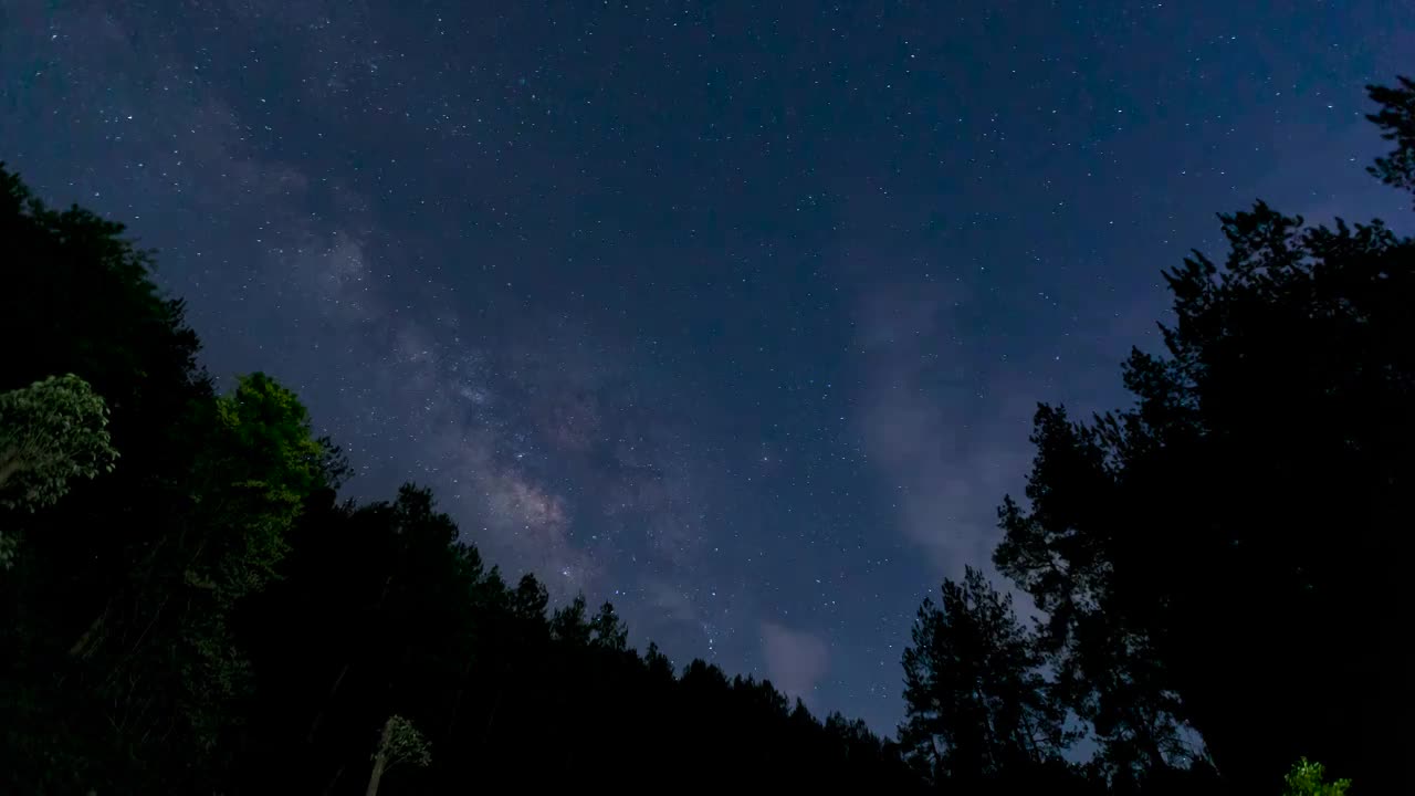 贵州安顺九龙山森林里的银河夜空视频素材