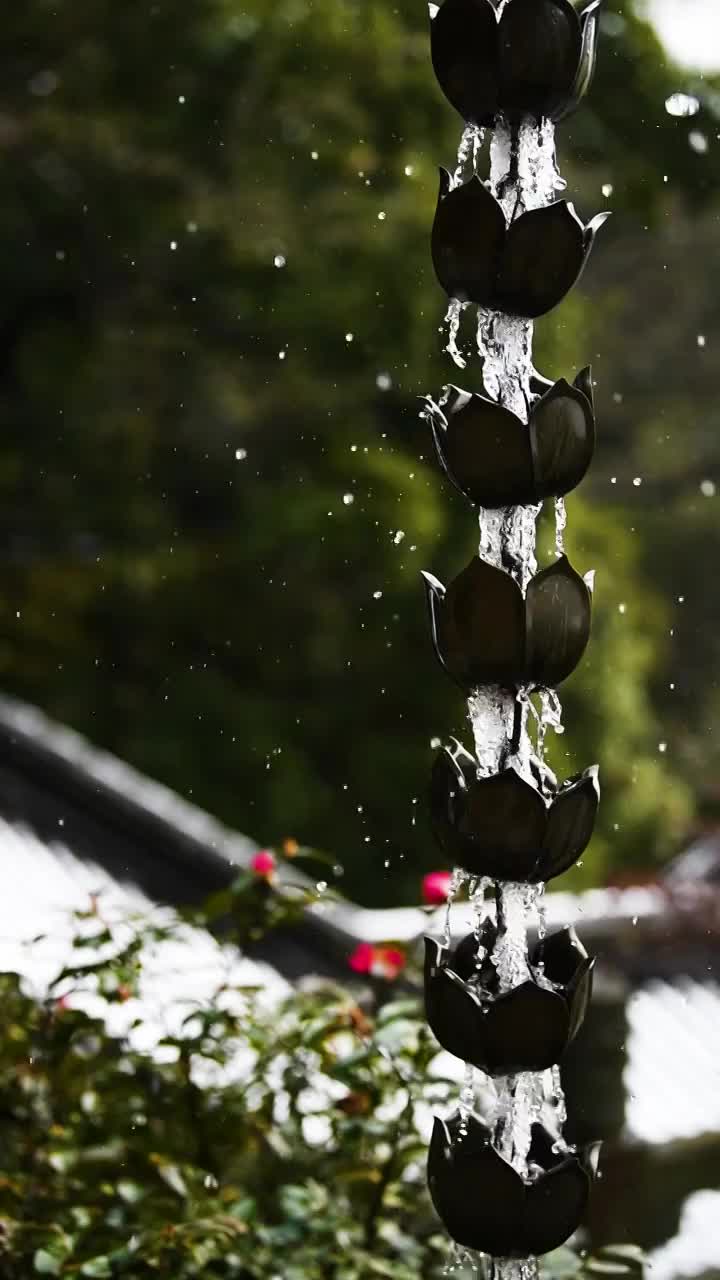 杭州法喜寺的莲花座落水，浙江杭州视频素材