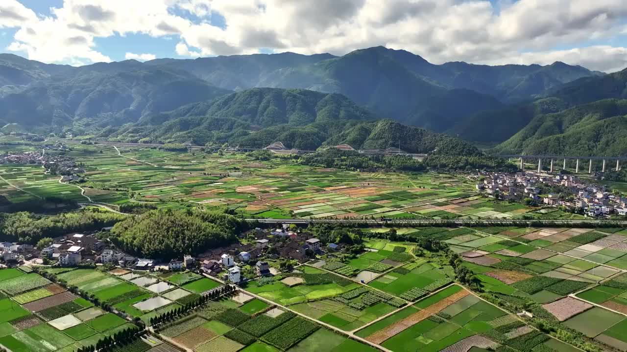 航拍乡村绿色农田与村庄视频素材