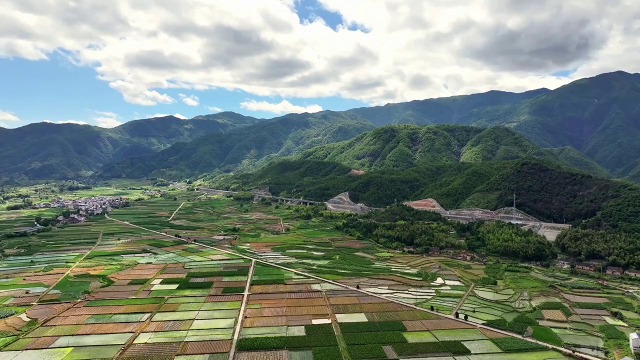 航拍乡村绿色农田与村庄视频素材