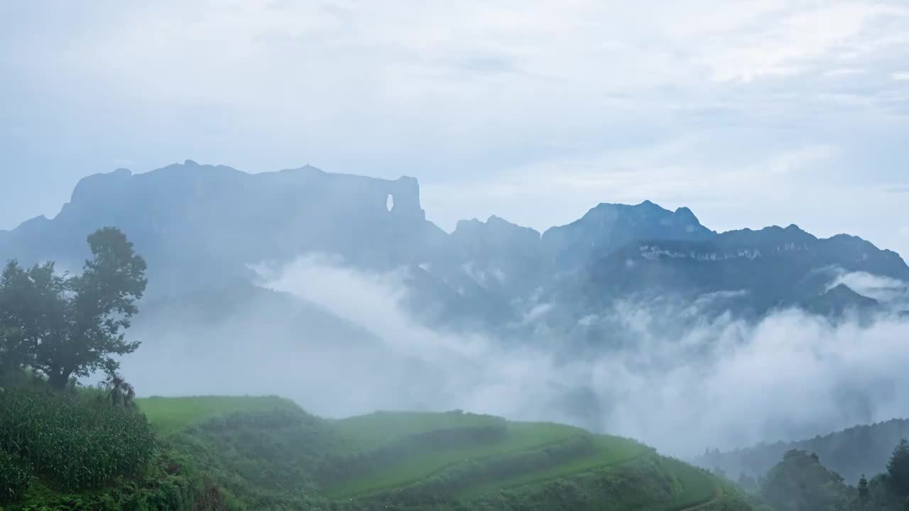 山中云雾延时视频下载