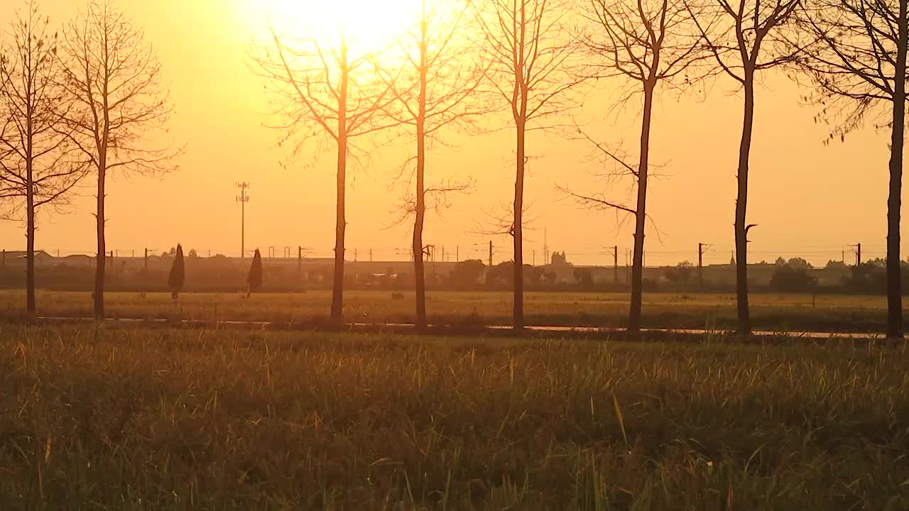 夕阳下家乡田野氛围感视频素材