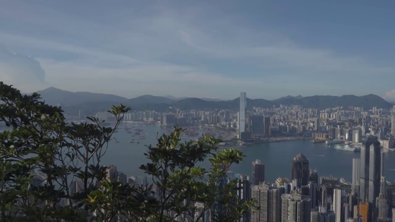 香港海滨城市天际线白昼高视角全景视频素材