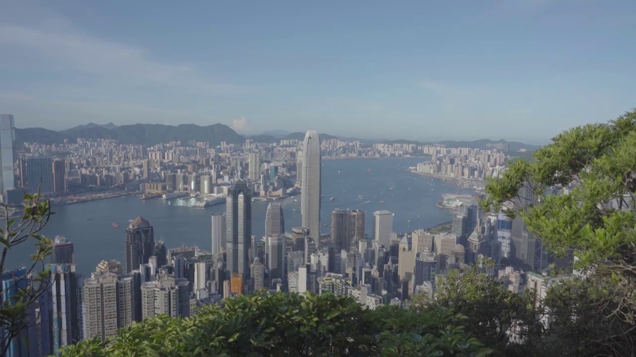 香港海滨城市天际线白昼高视角全景视频素材