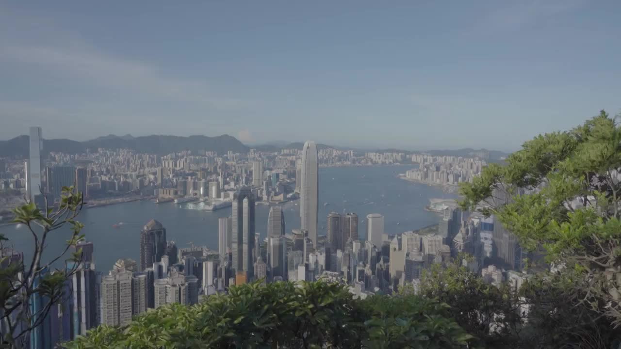 香港海滨城市天际线白昼高视角全景视频素材