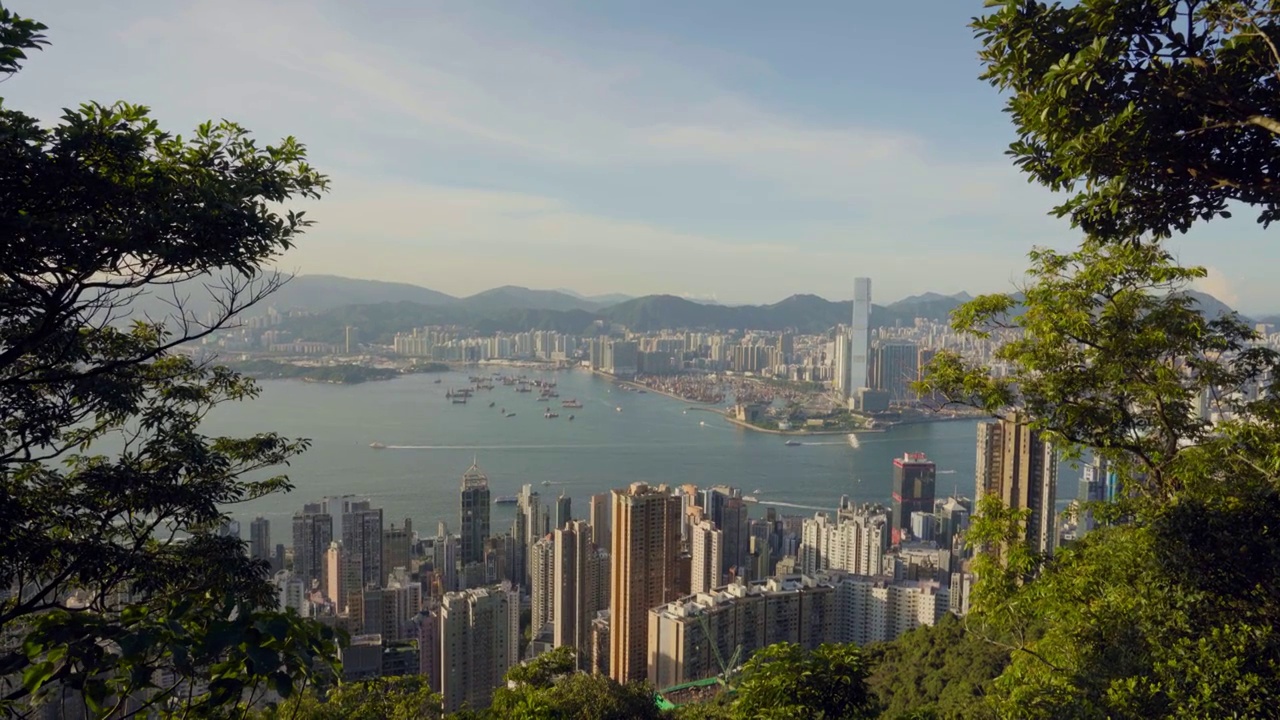 香港海滨城市天际线白昼高视角全景视频素材