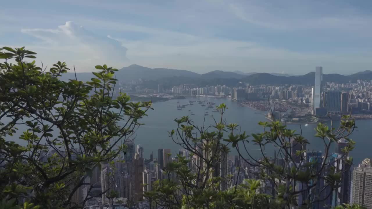 香港海滨城市天际线白昼高视角全景视频素材