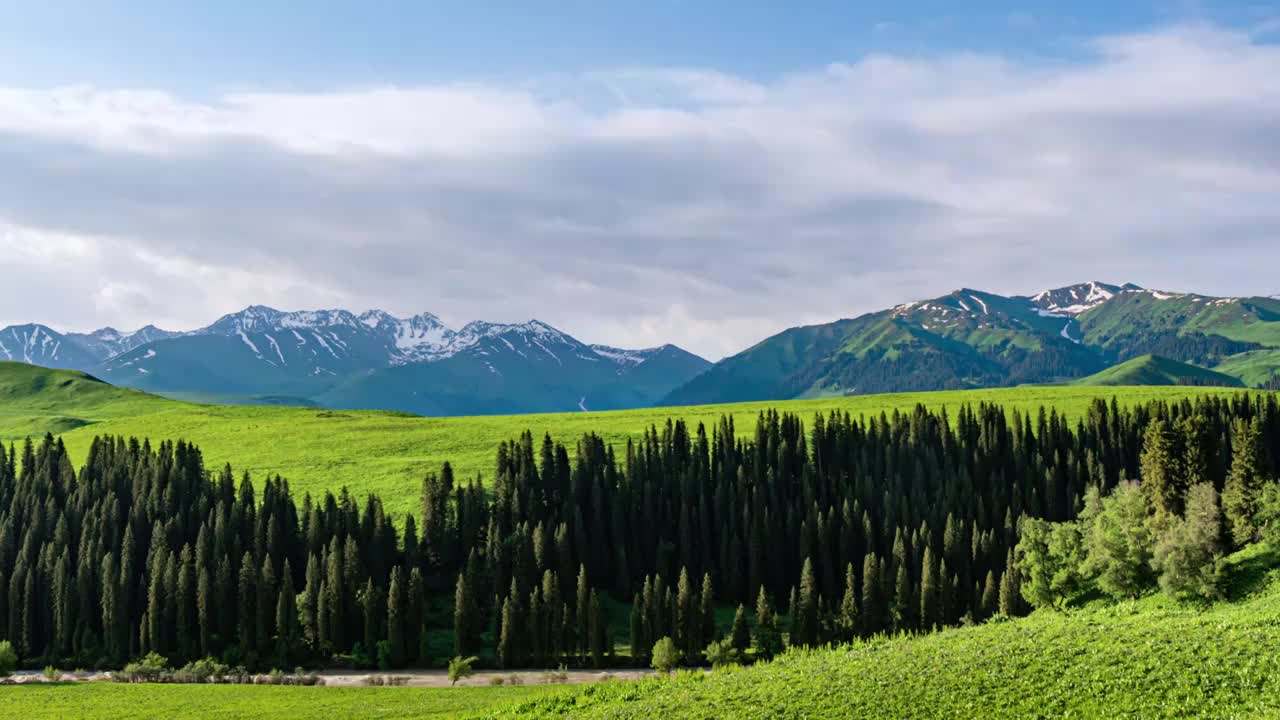 森林雪山云雾延时视频素材