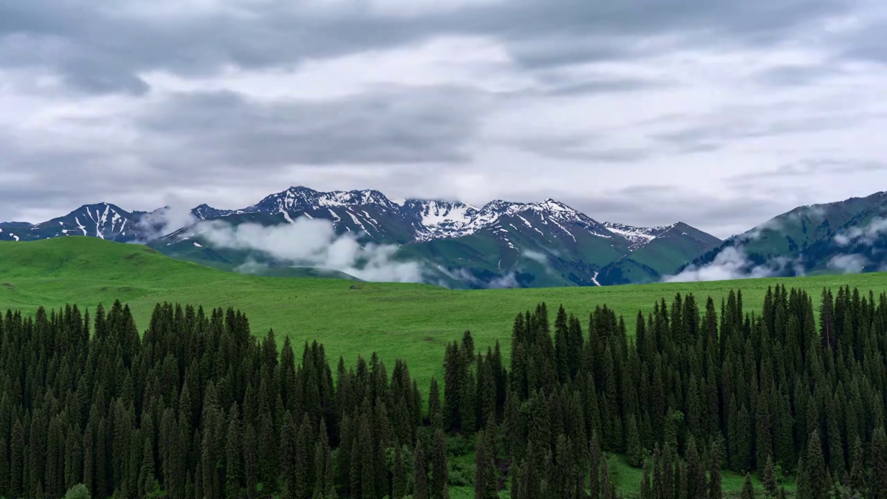 森林雪山云雾延时视频素材