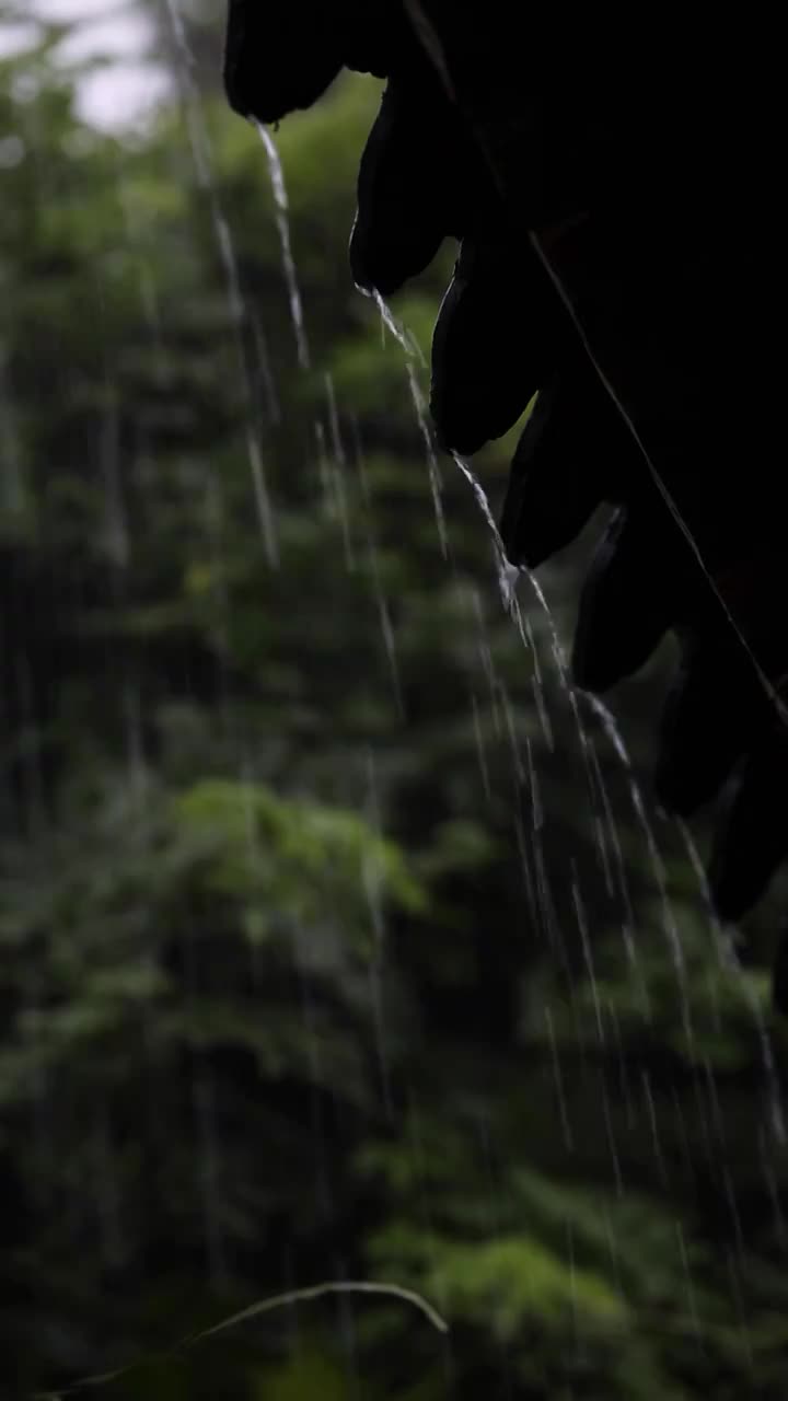 故宫下雨景象视频素材