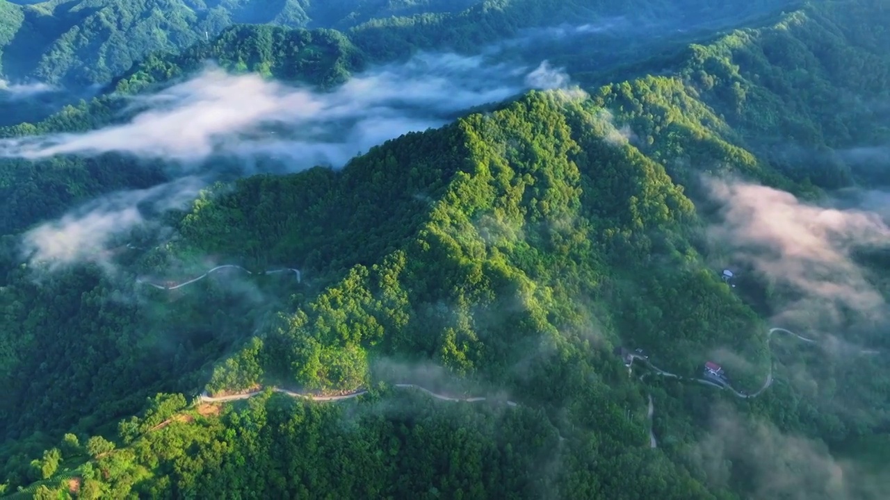 秦岭大自然森林云海山脉生态环境青山绿水视频素材