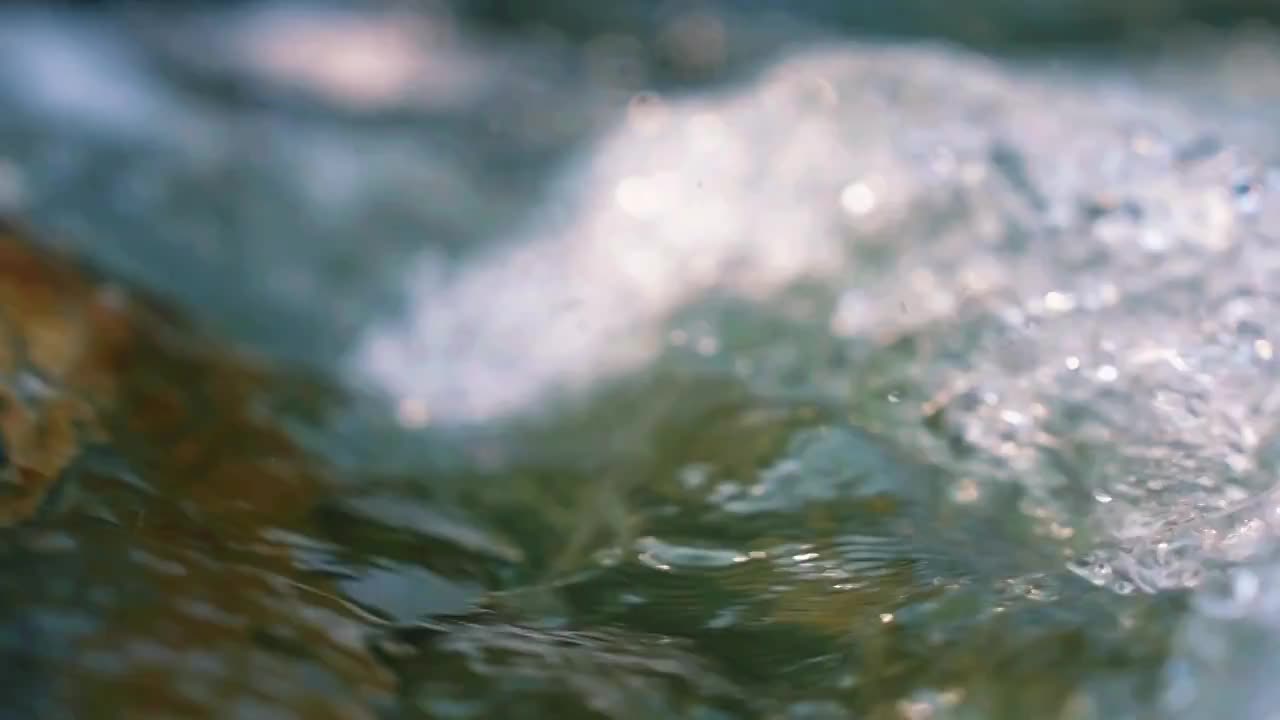 山水下雨雨滴森林惊蛰谷雨生态大自然山水视频素材