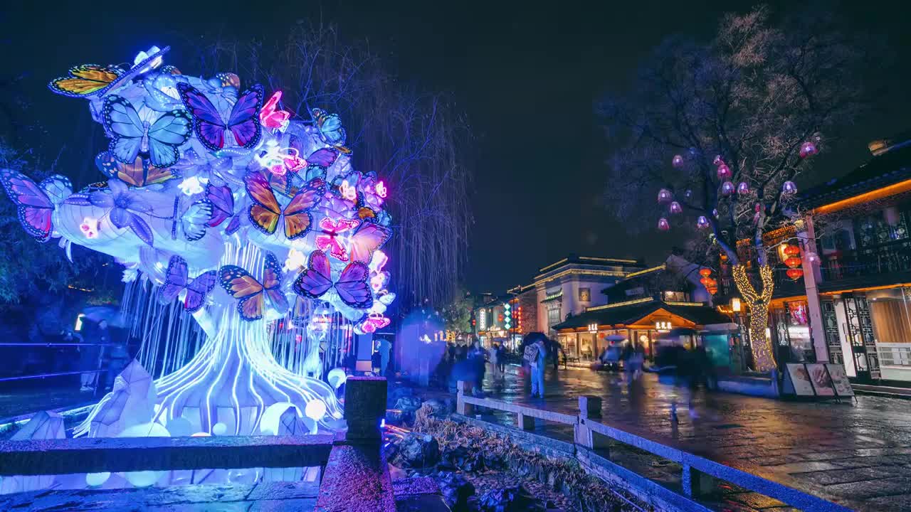 南京老门东游客观赏蝴蝶花灯夜景延时摄影视频素材