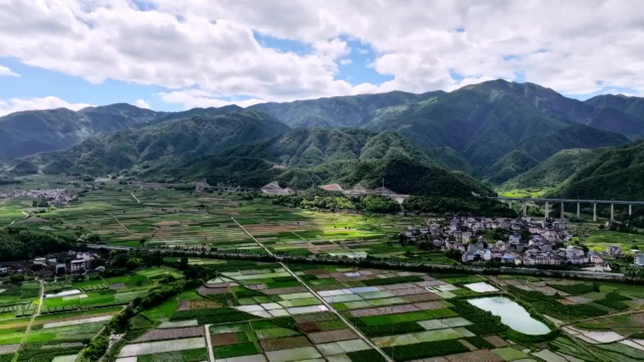 航拍乡村绿色稻田延时视频视频素材