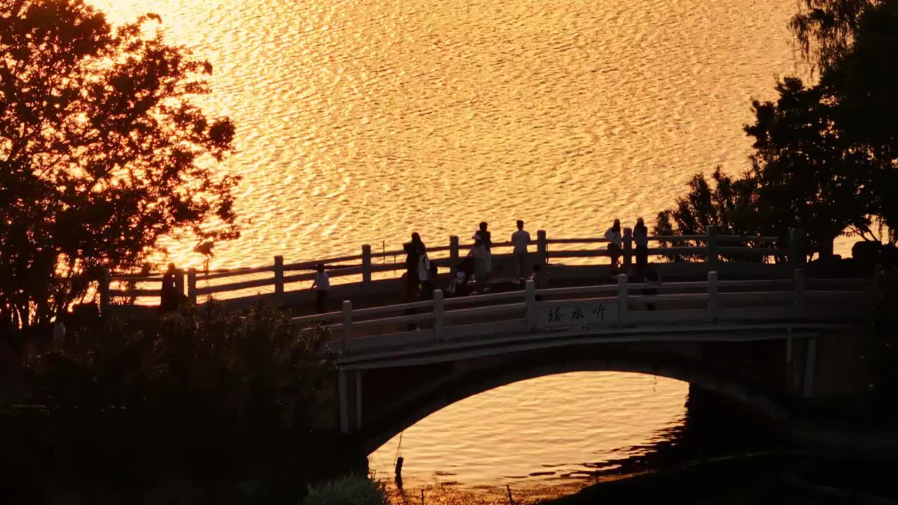 夕阳金光下的南京玄武湖视频素材