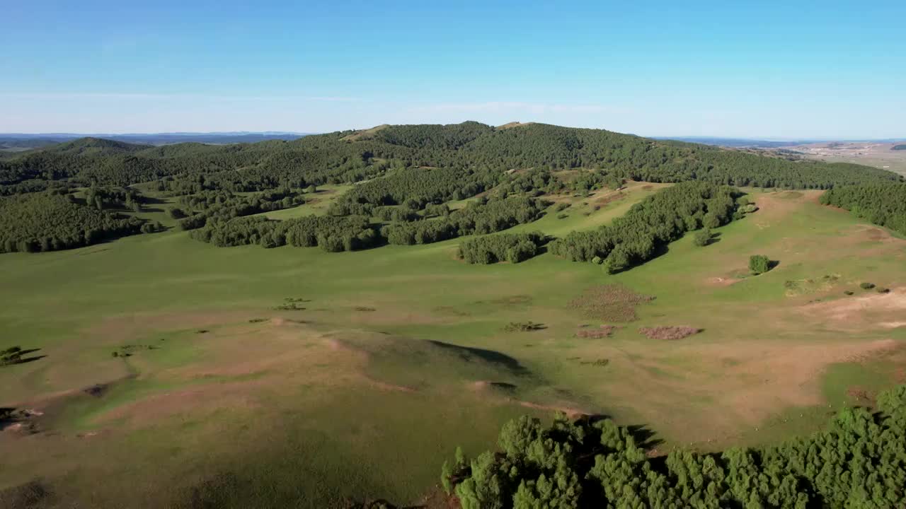 乌兰布统坝上草原山坡树林航拍视频素材