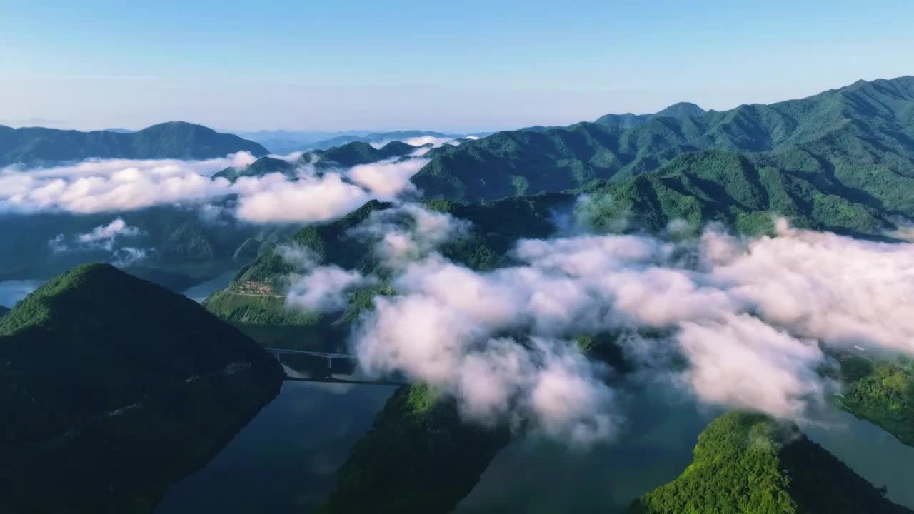 秦岭大自然森林云海山脉生态环境青山绿水视频素材