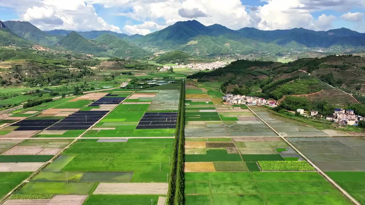 乡村绿色稻田航拍合集 乡村振兴视频素材