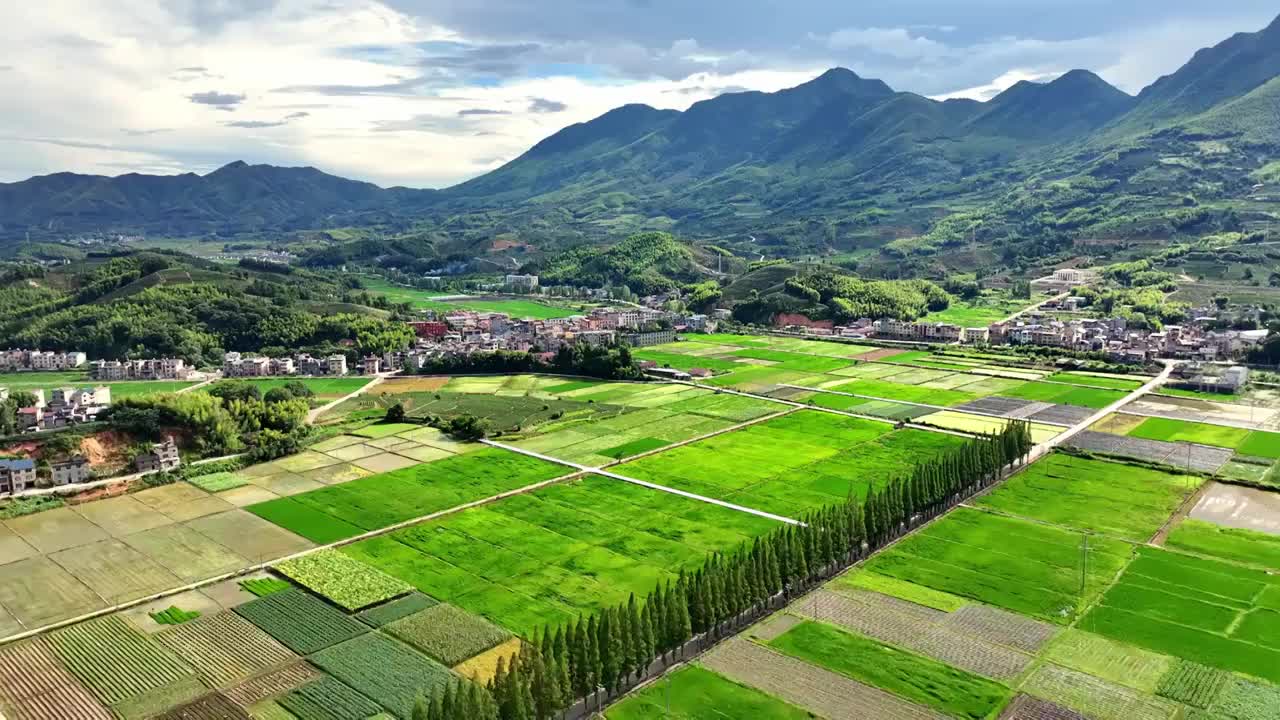 乡村绿色稻田航拍合集 乡村振兴视频素材