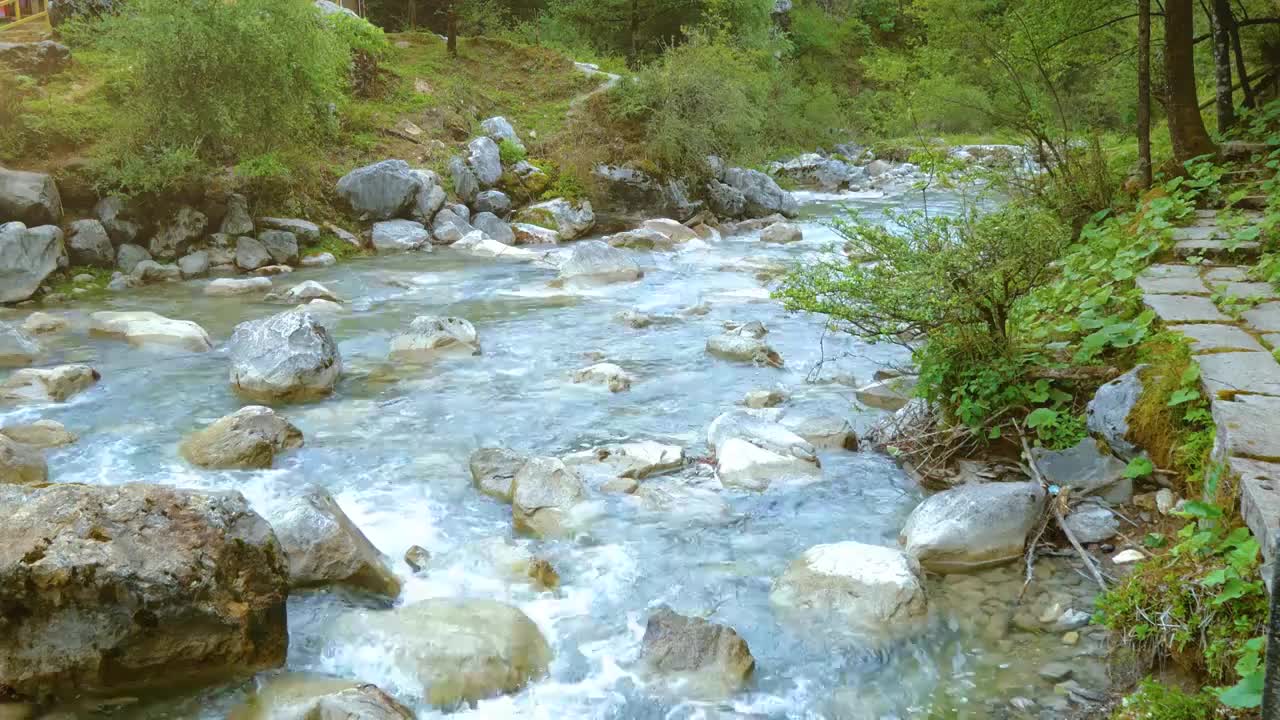 原始森林山谷幽静野外溪流潺潺流水浑然天成泉水涓流清澈无比纯净溪流夏日清凉流水原始清澈山涧自然风光视频素材