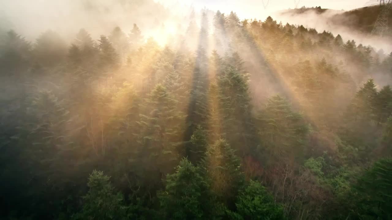 航拍森林雪山大自然视频素材