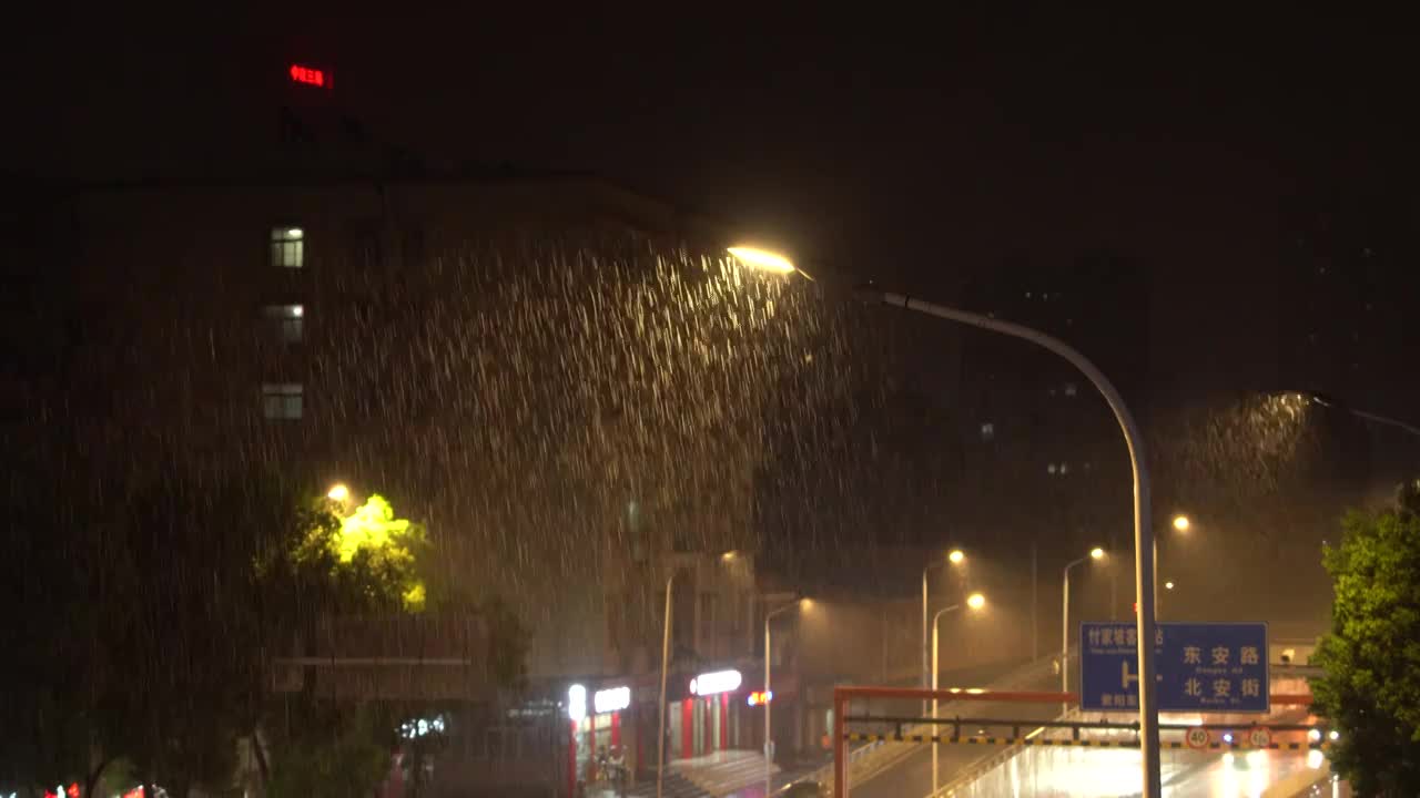 城市暴雨下的路灯视频素材