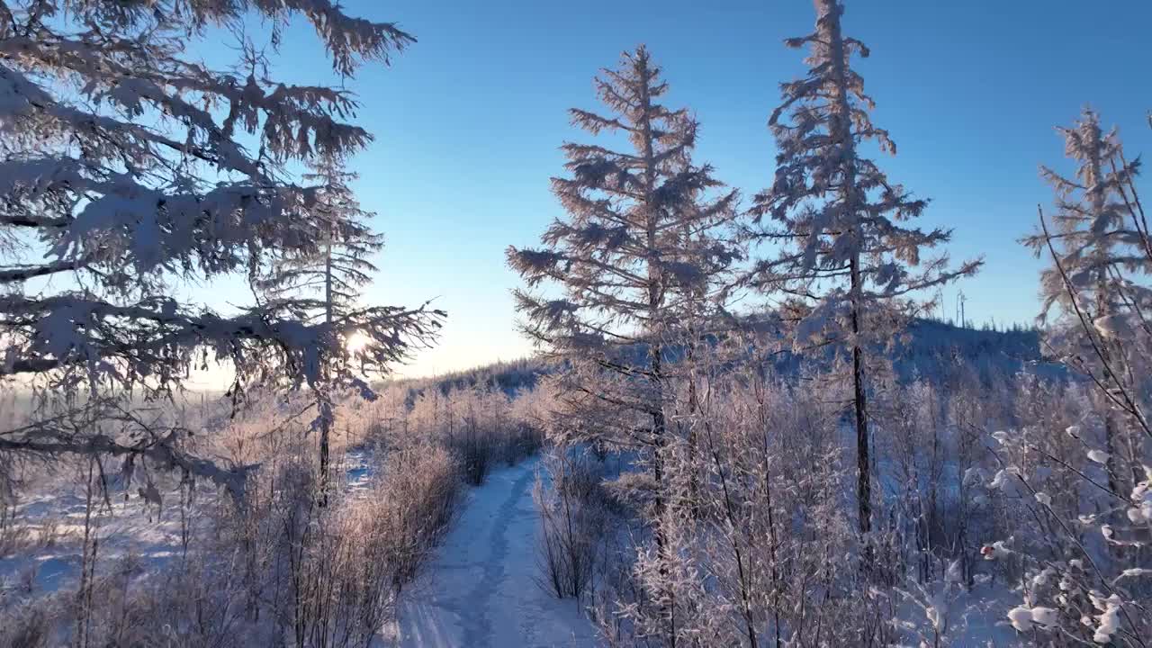 航拍林海雪原雪林山路视频素材