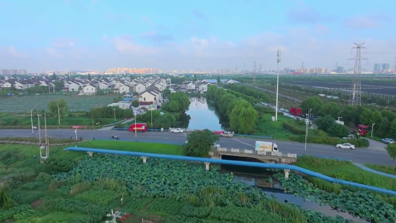 苏州夏天鸡头米收获视频素材