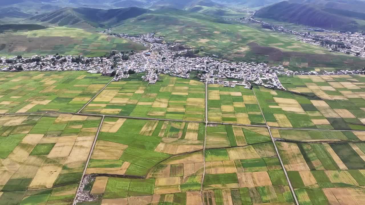 青海门源高原农田视频素材