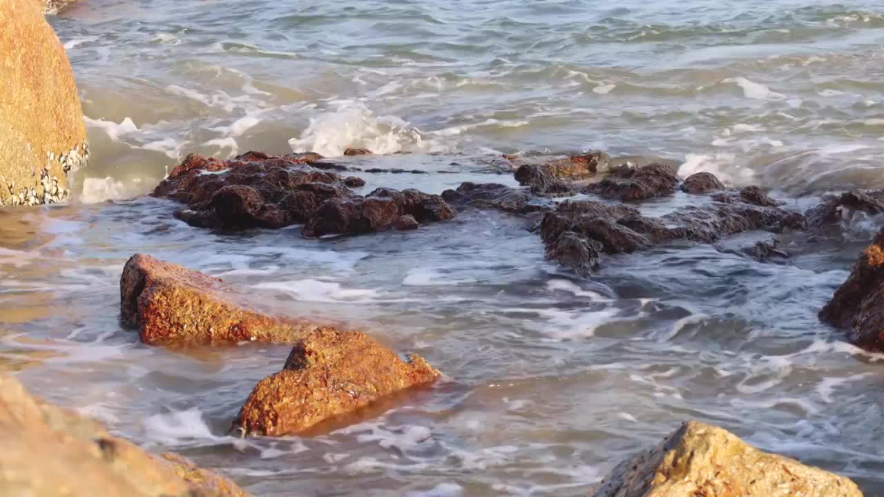 梅窝 香港 礁石 海面视频素材