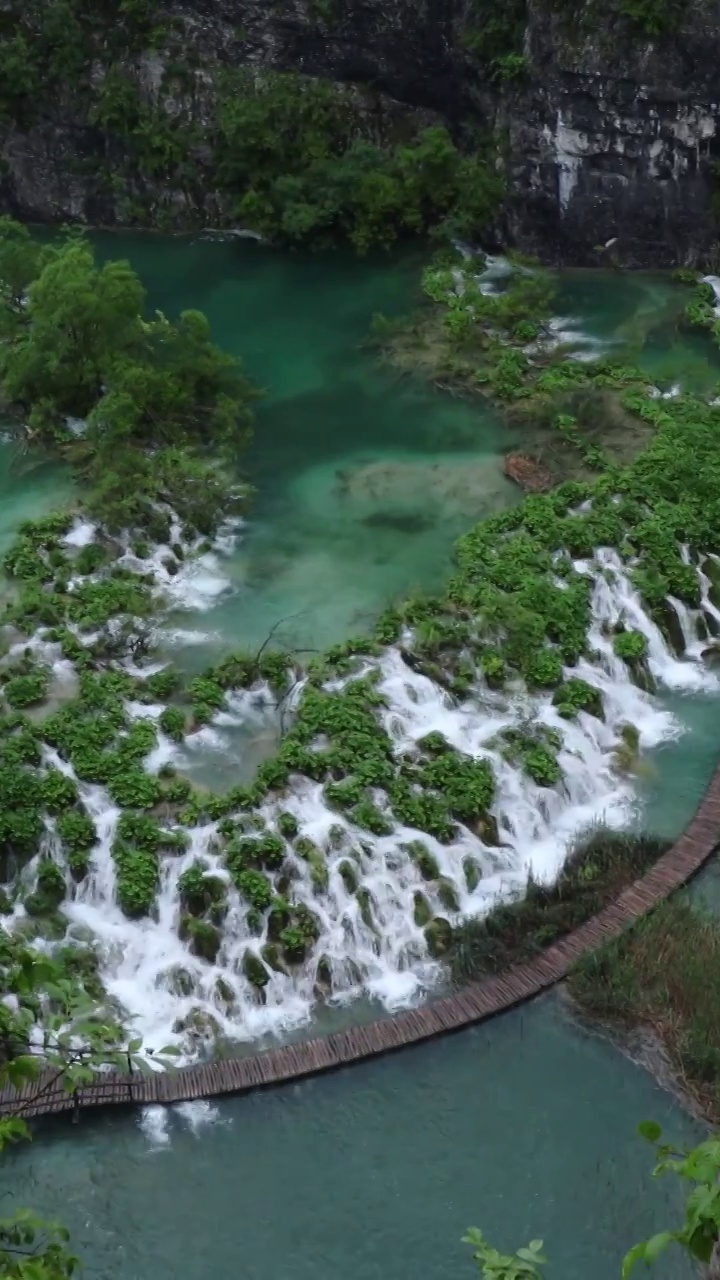 夏天山涧的溪水，绿色清凉的河水，十六湖国家公园视频素材