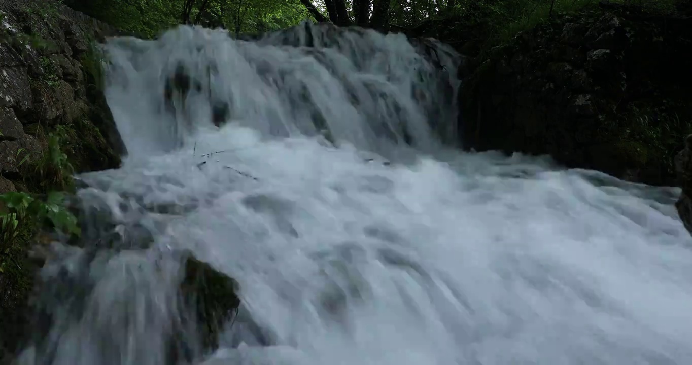 夏天山涧的溪水，绿色清凉的河水，十六湖国家公园视频素材