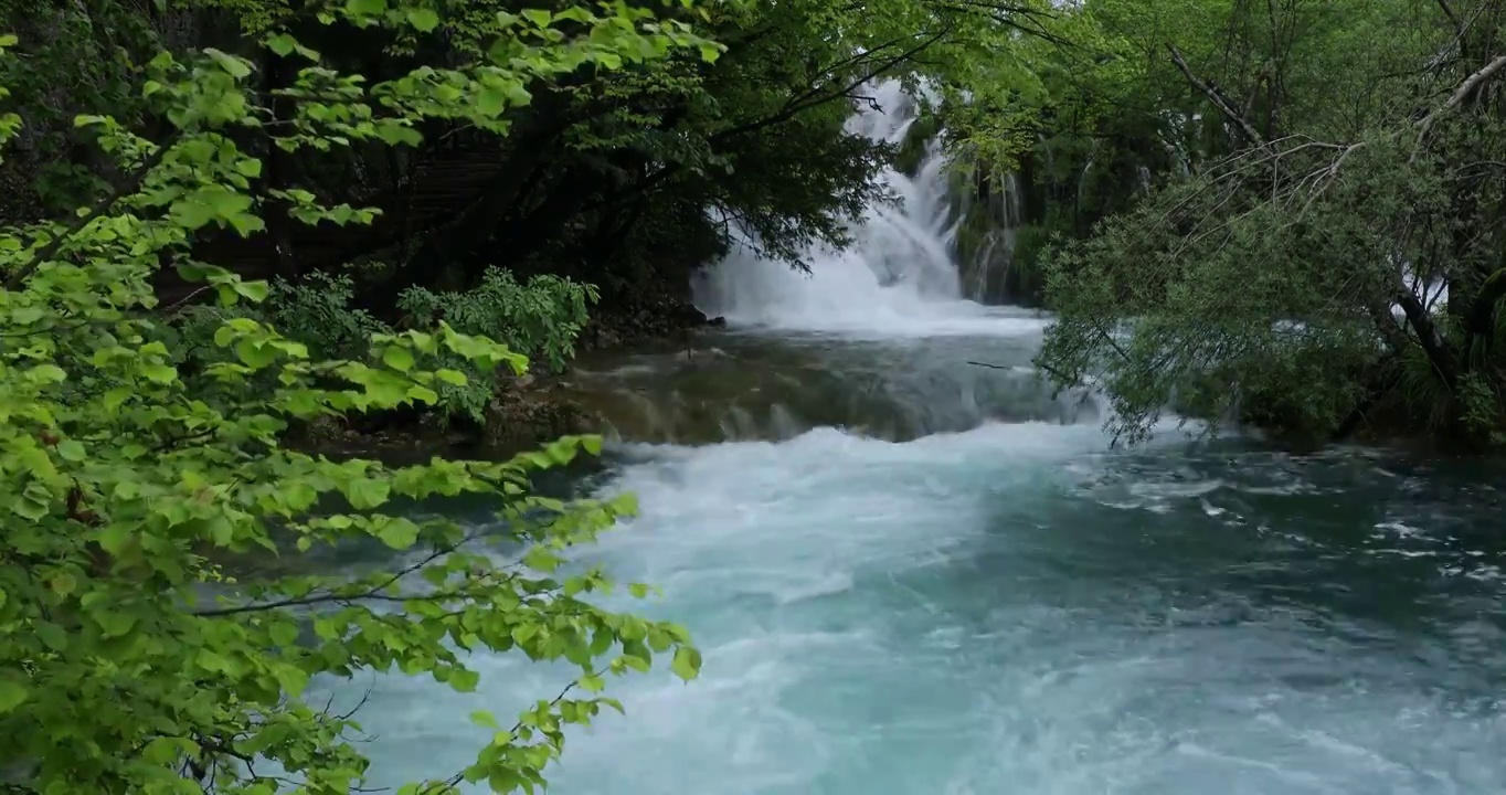 夏天山涧的溪水，绿色清凉的河水，十六湖国家公园视频素材