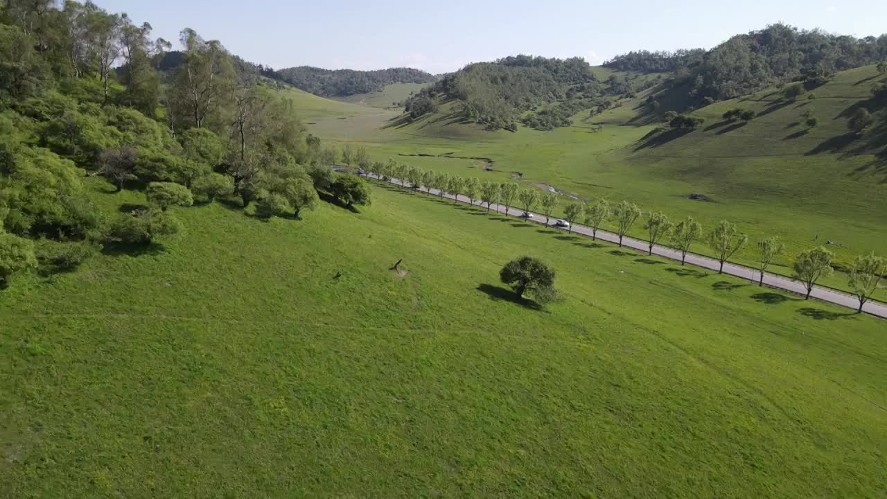 陕西宝鸡关山草原视频下载