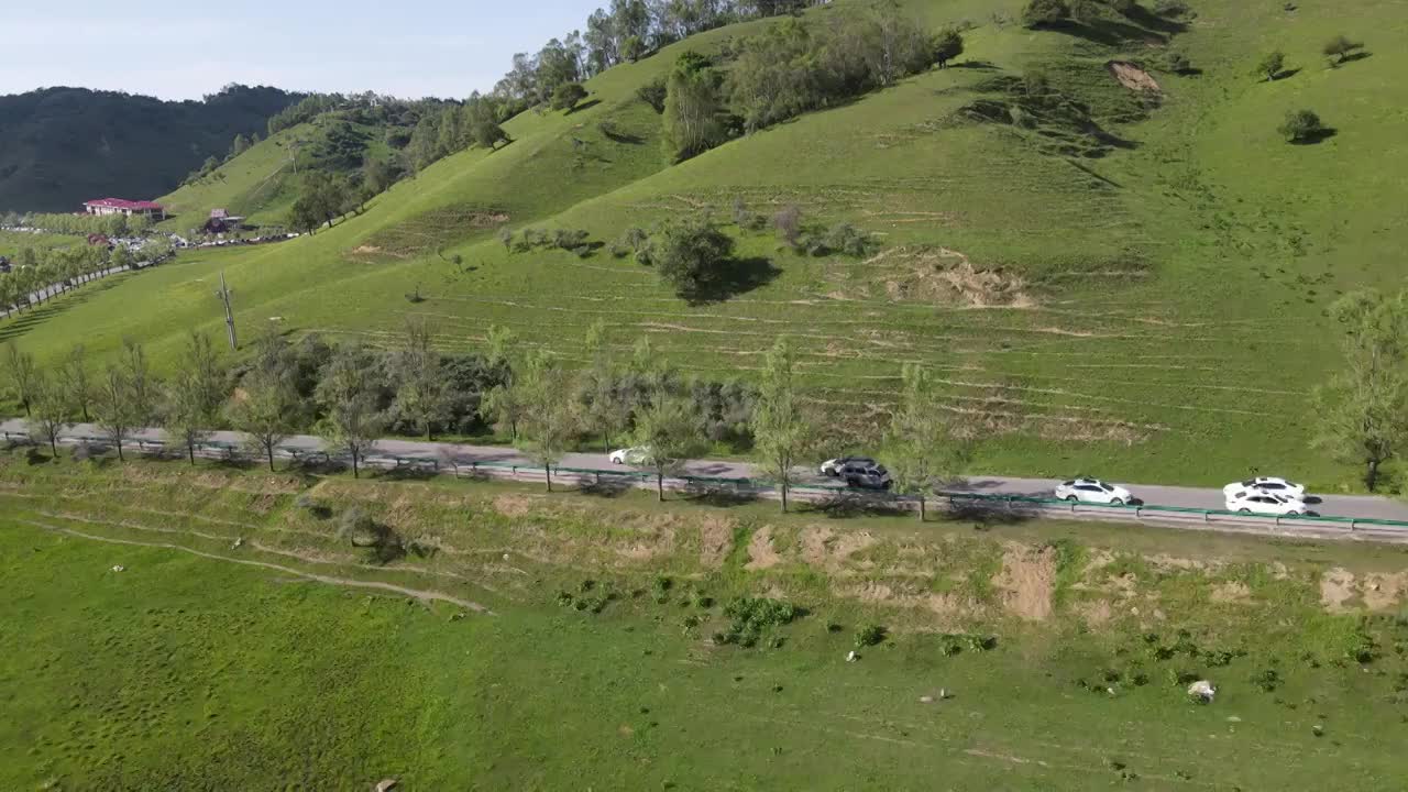 陕西宝鸡关山草原视频下载