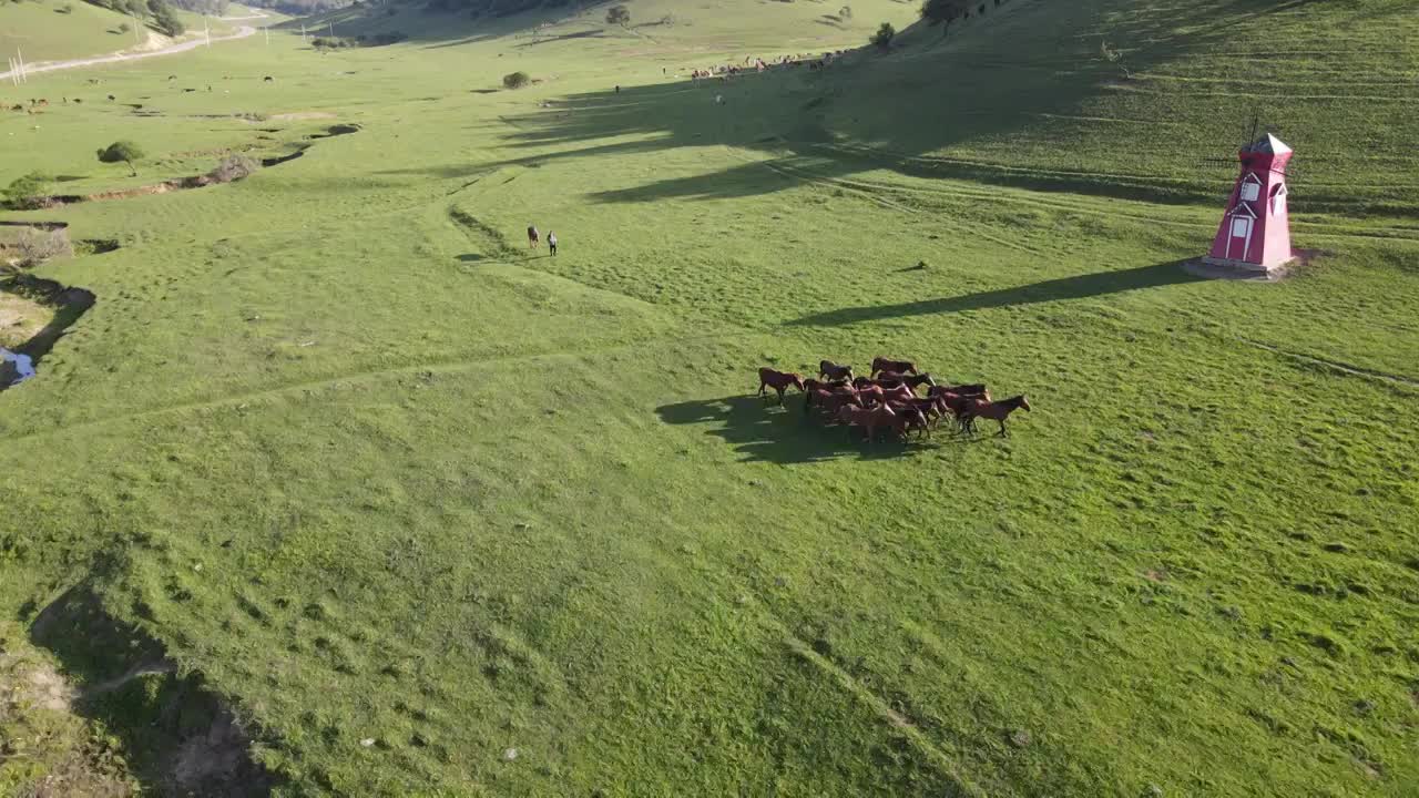 陕西宝鸡关山草原视频素材