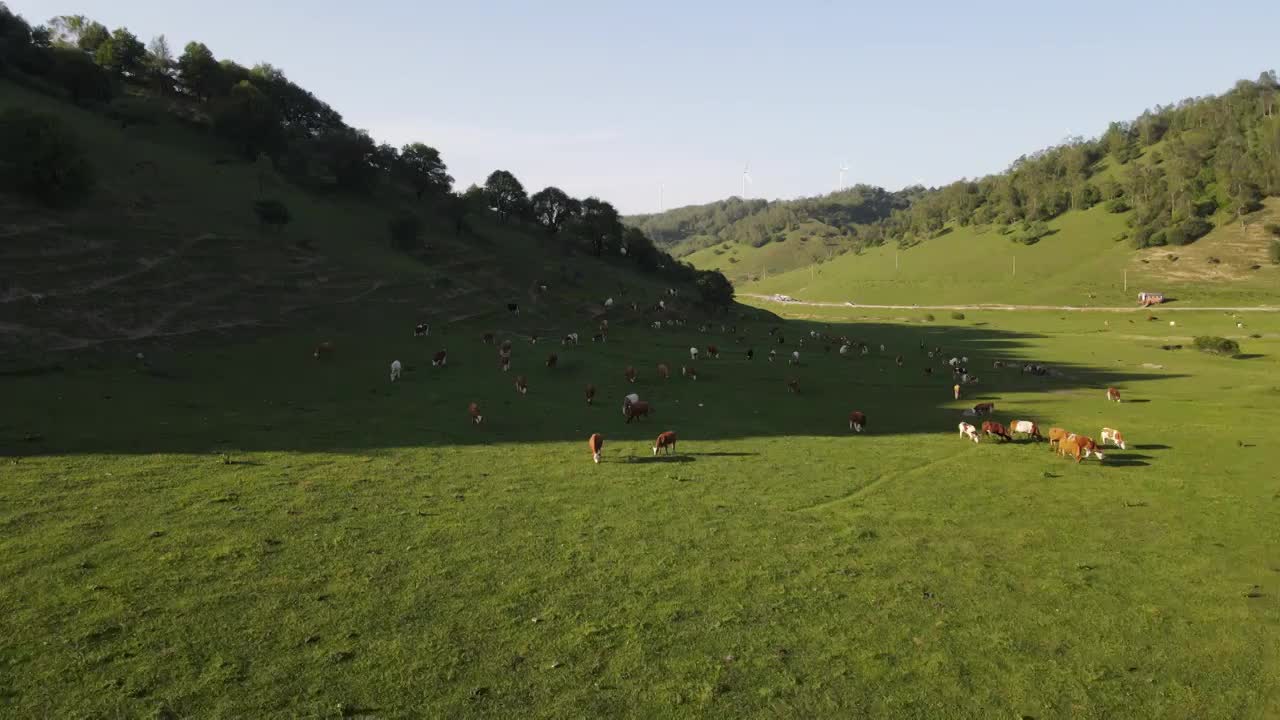 陕西宝鸡关山草原视频下载