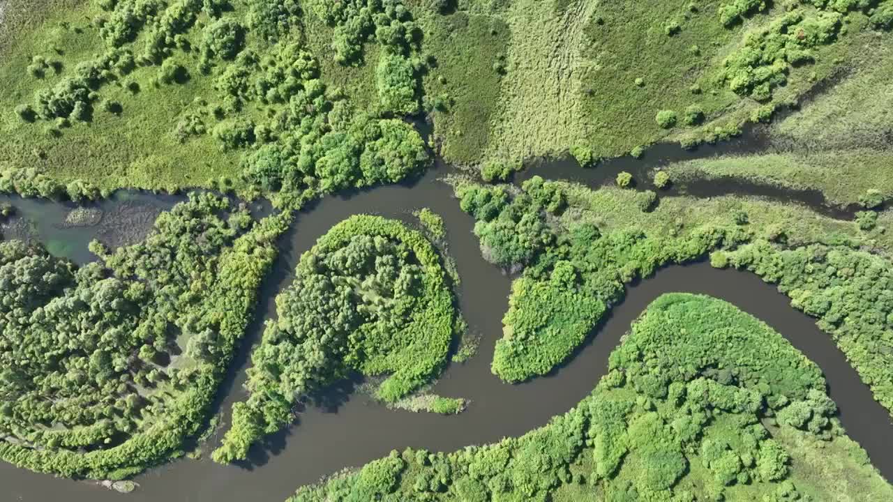 航拍免渡河湿地河流云雾缭绕视频素材