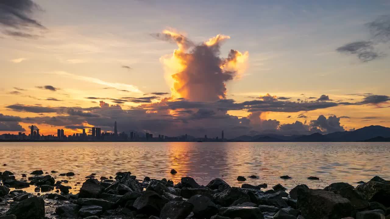 深圳湾公园城市风景视频下载